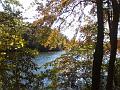 Fall View3
